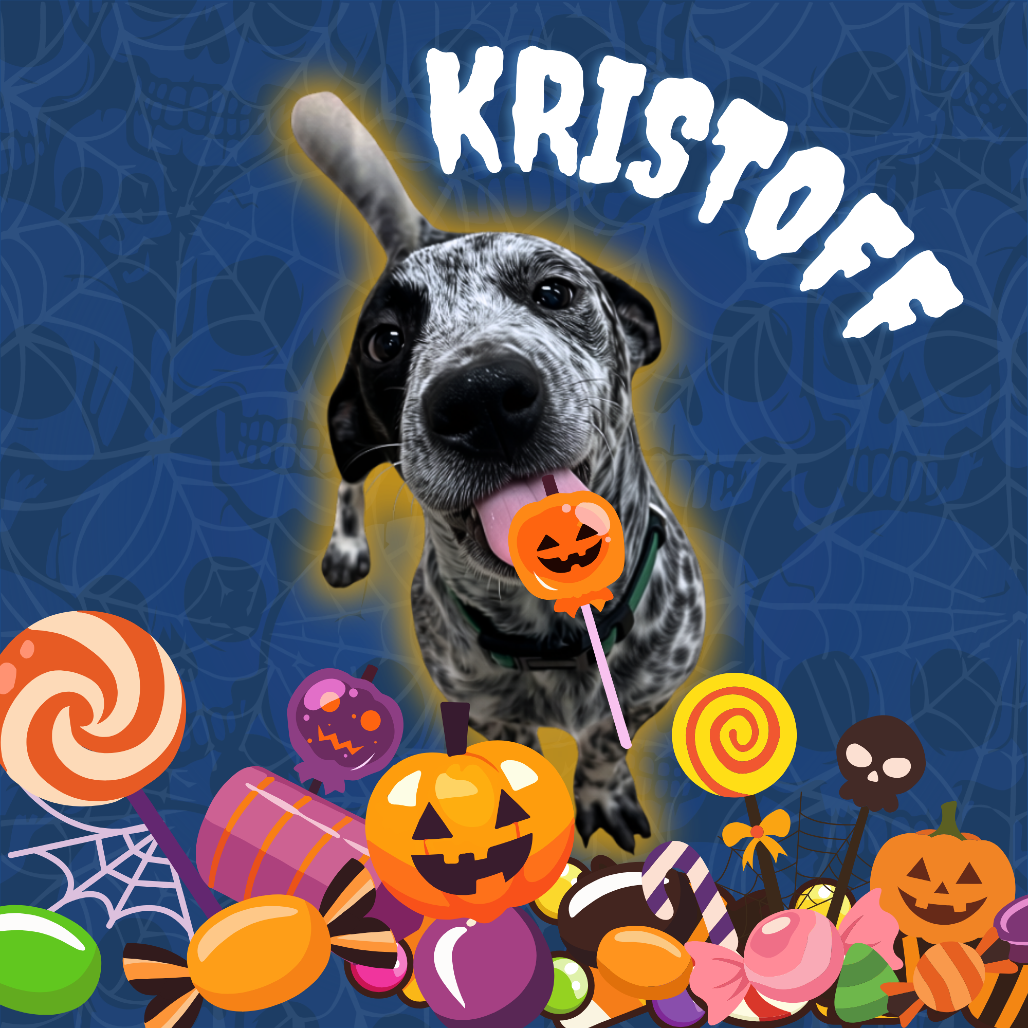 Kristoff