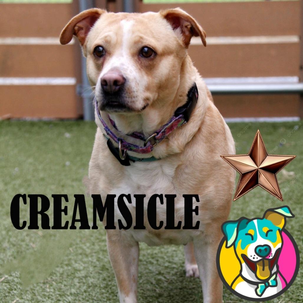 Creamsicle