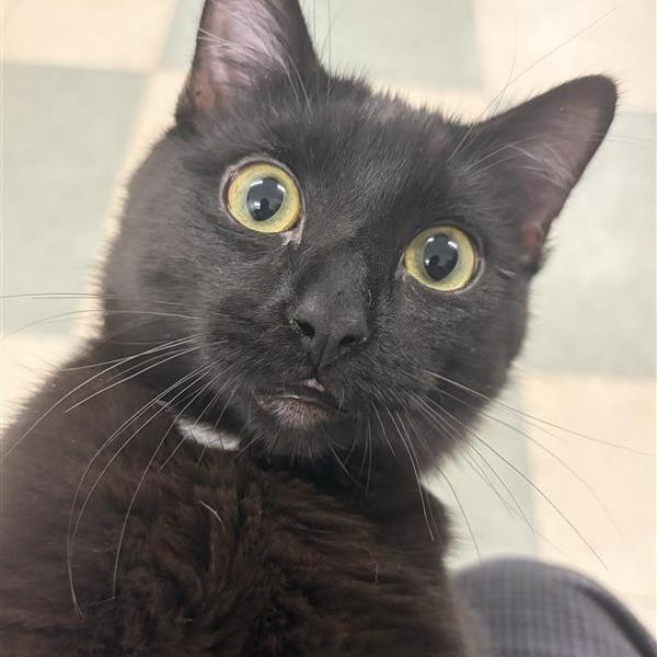 Marco