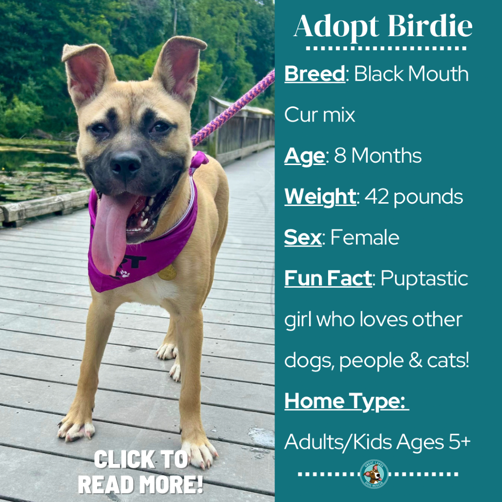 Birdie
