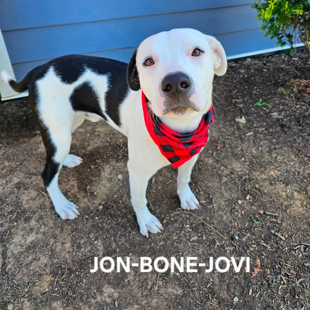Jon Bone Jovi