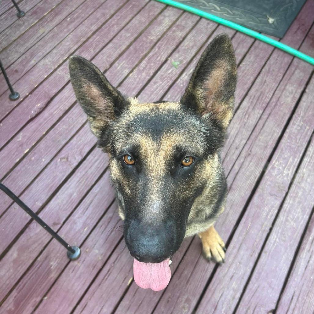 Tula