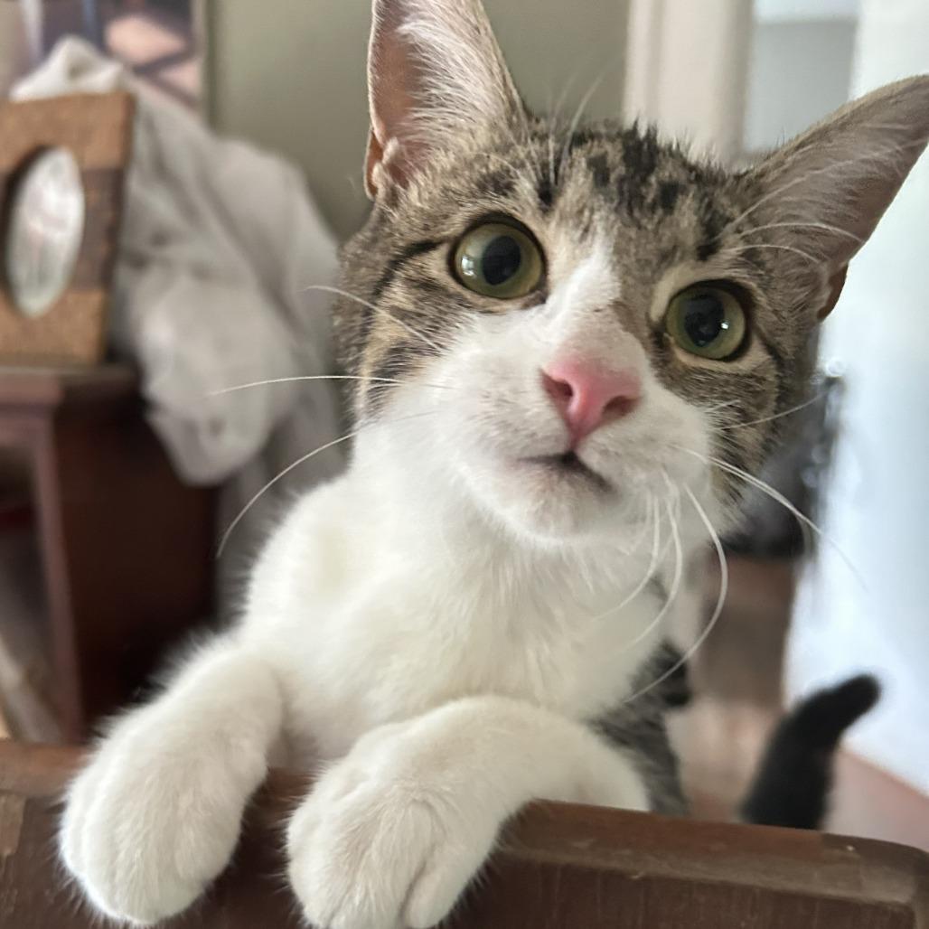 Helen
