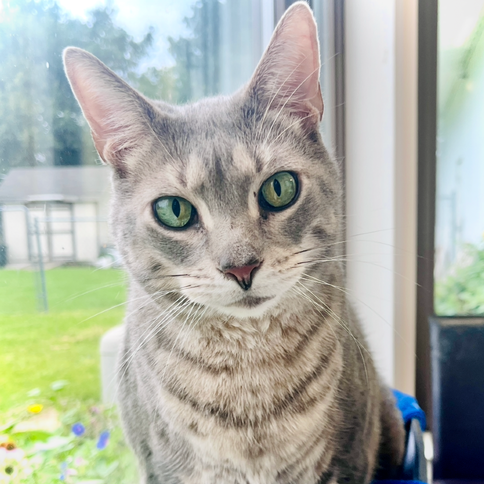 Tom
