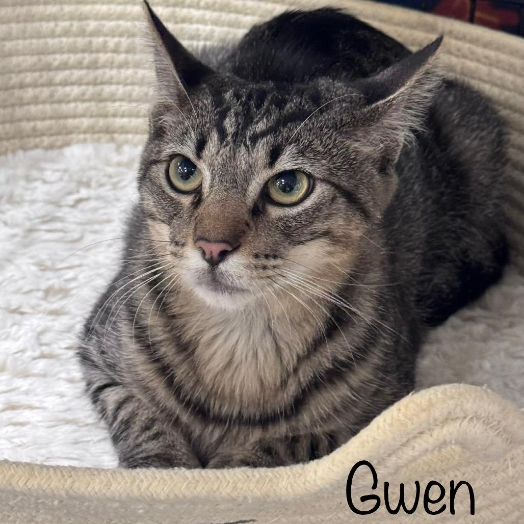 Gwen 