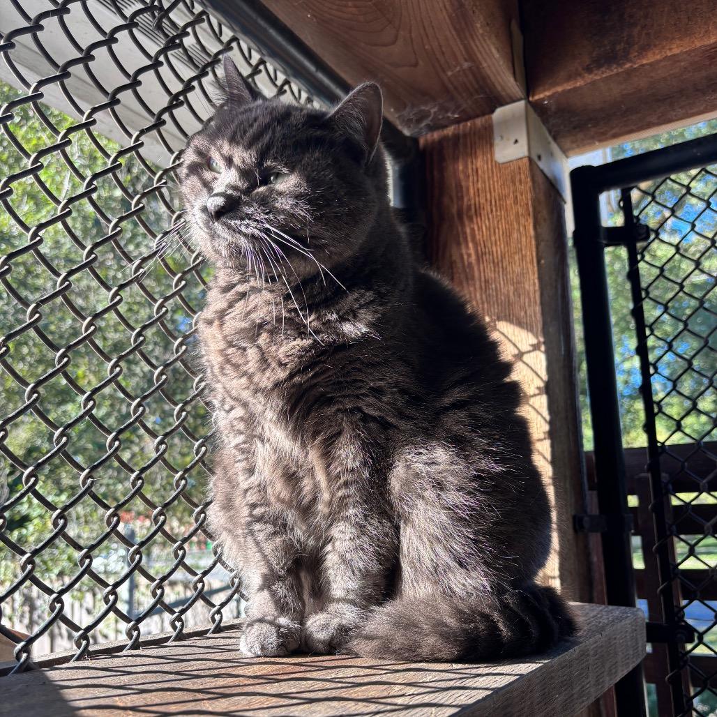 Bella