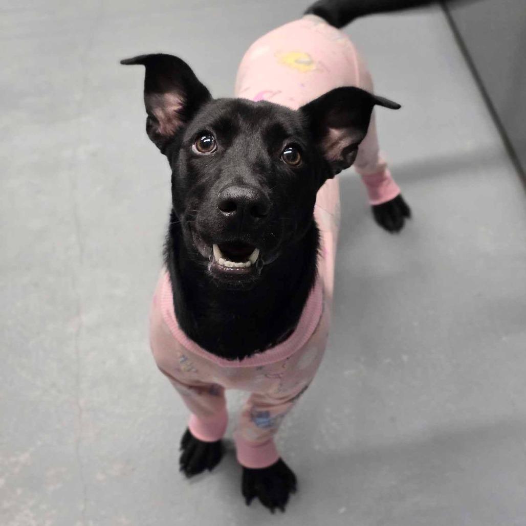 Dora Dee