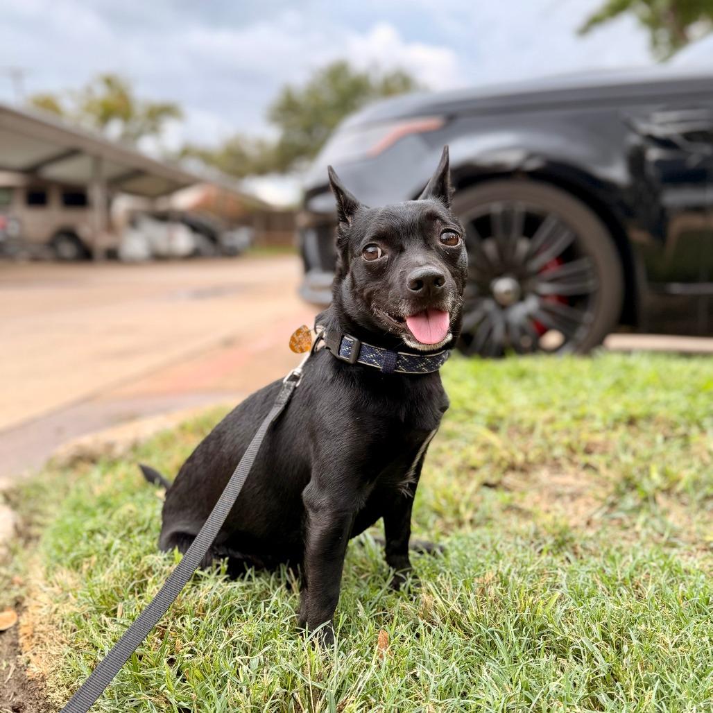 Jax