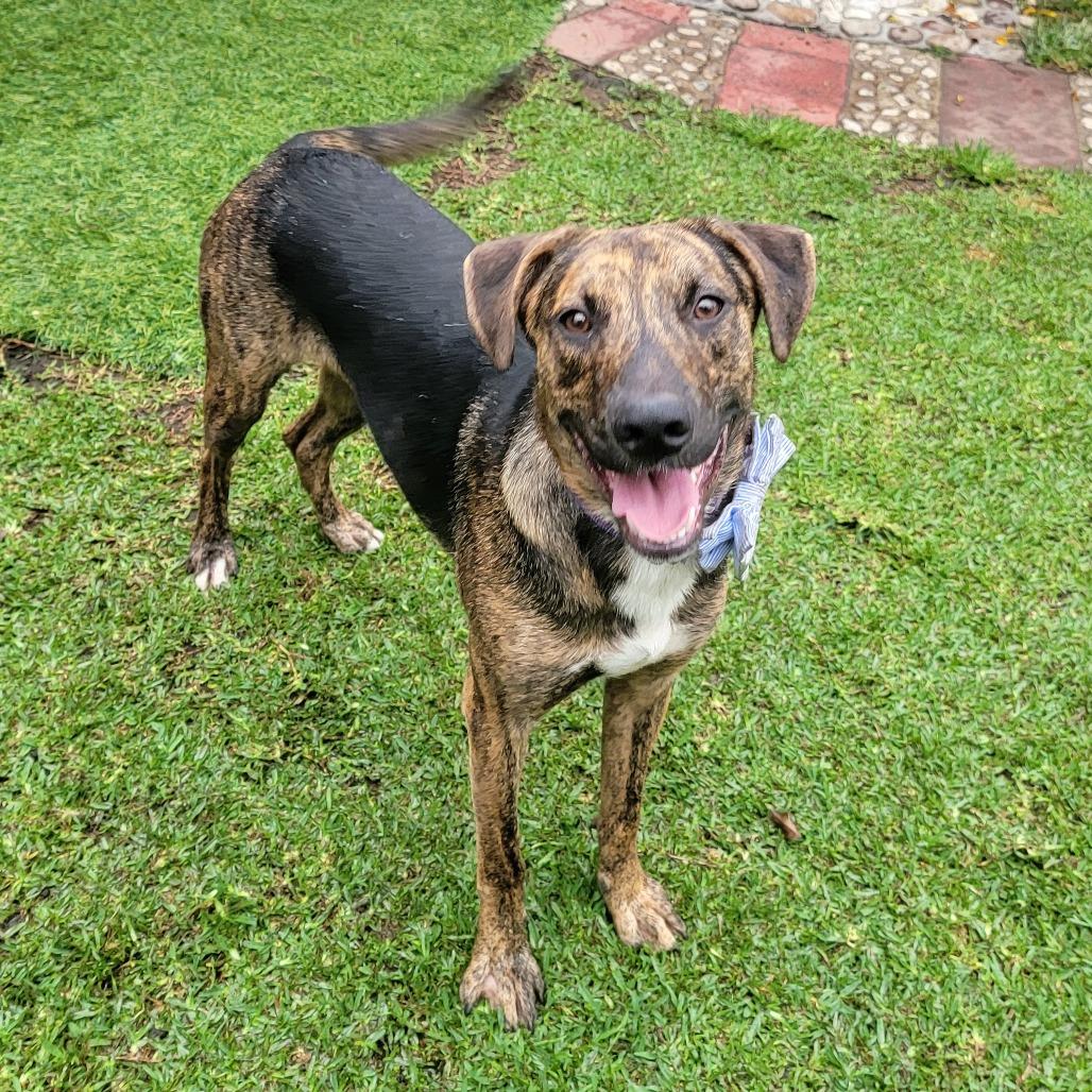 Oscar
