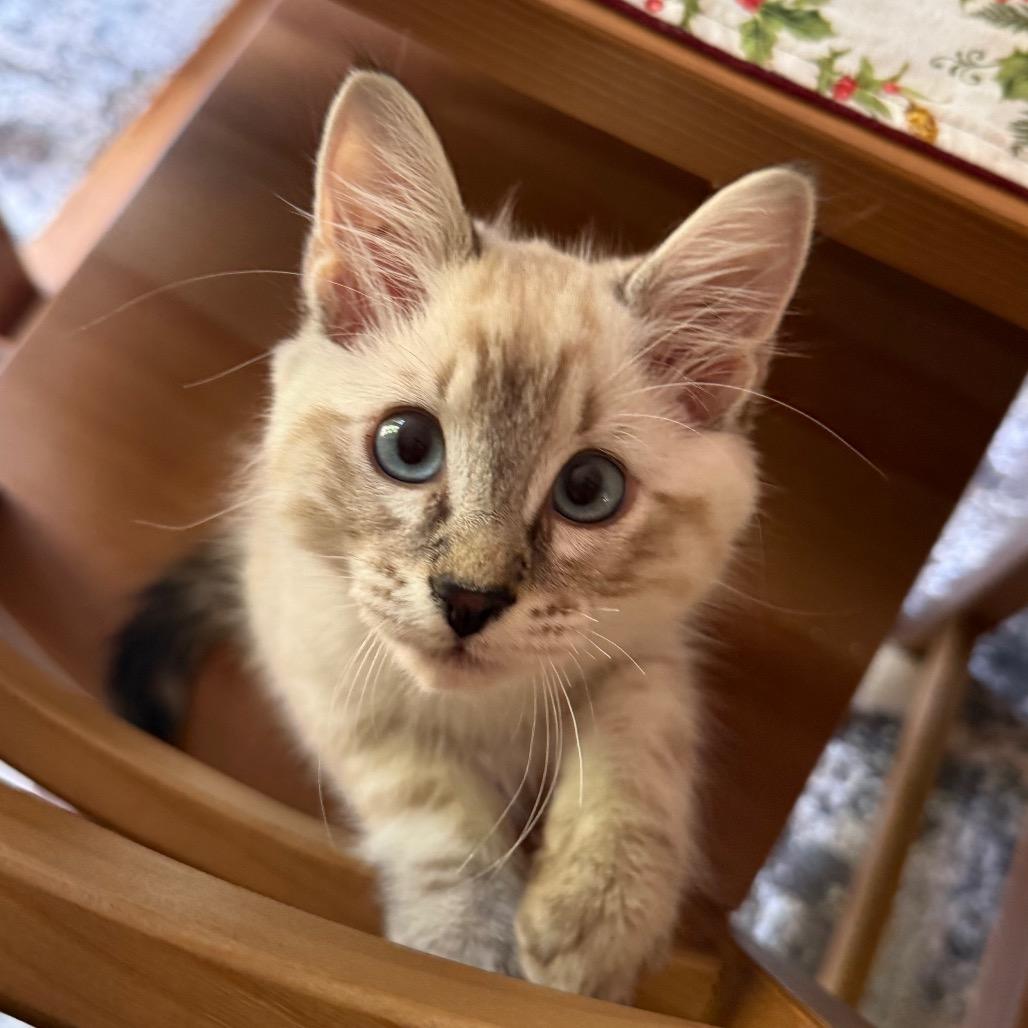 Nimbus