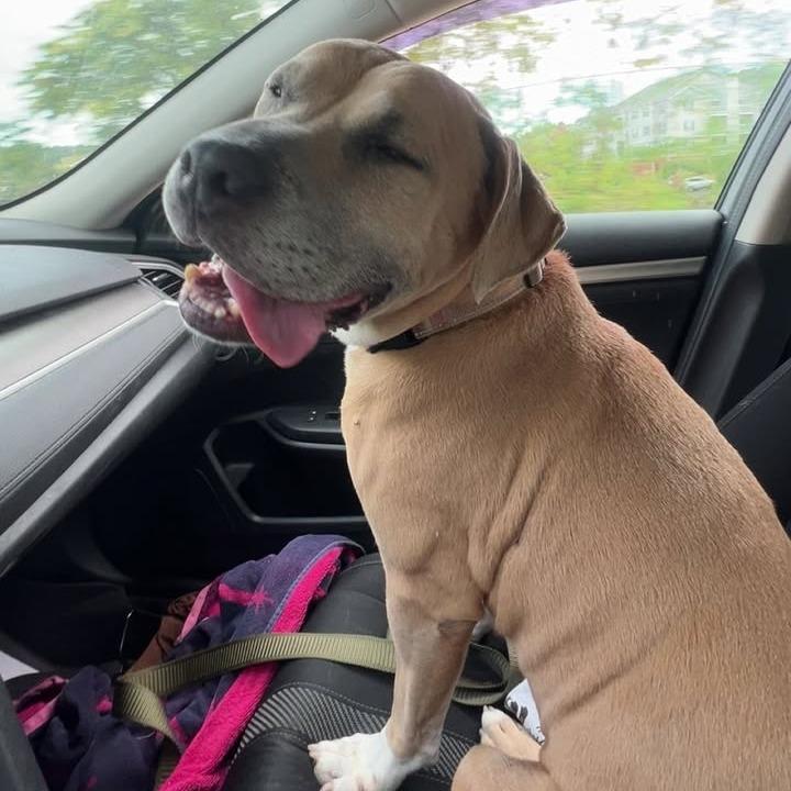 Nellie