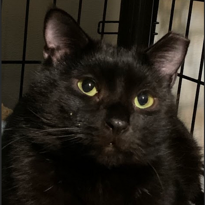 Loki Keating
