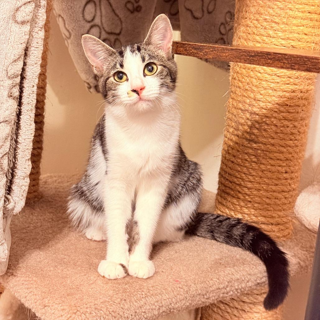 Skeeter-In Foster