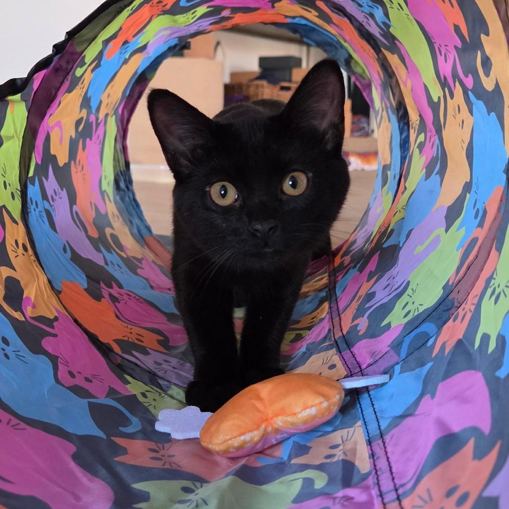 Kiki