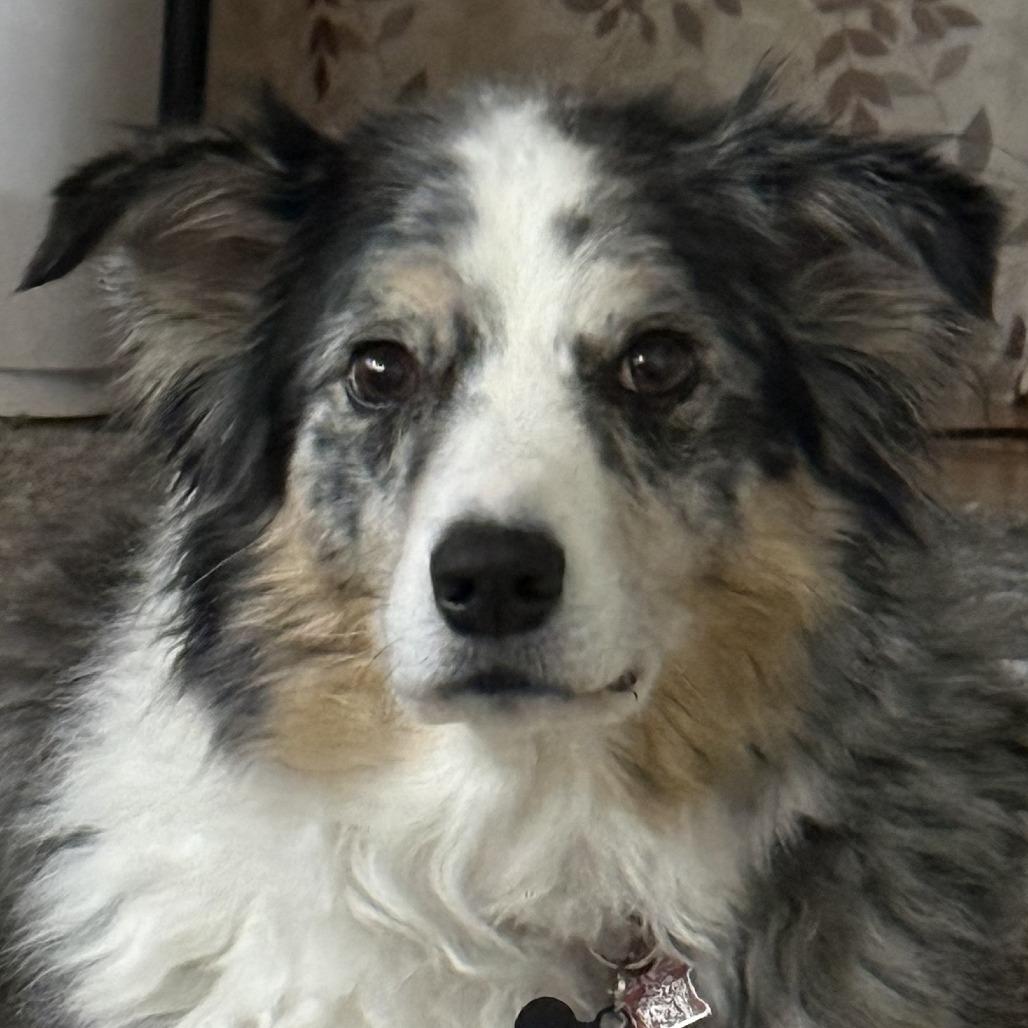 Bonnie