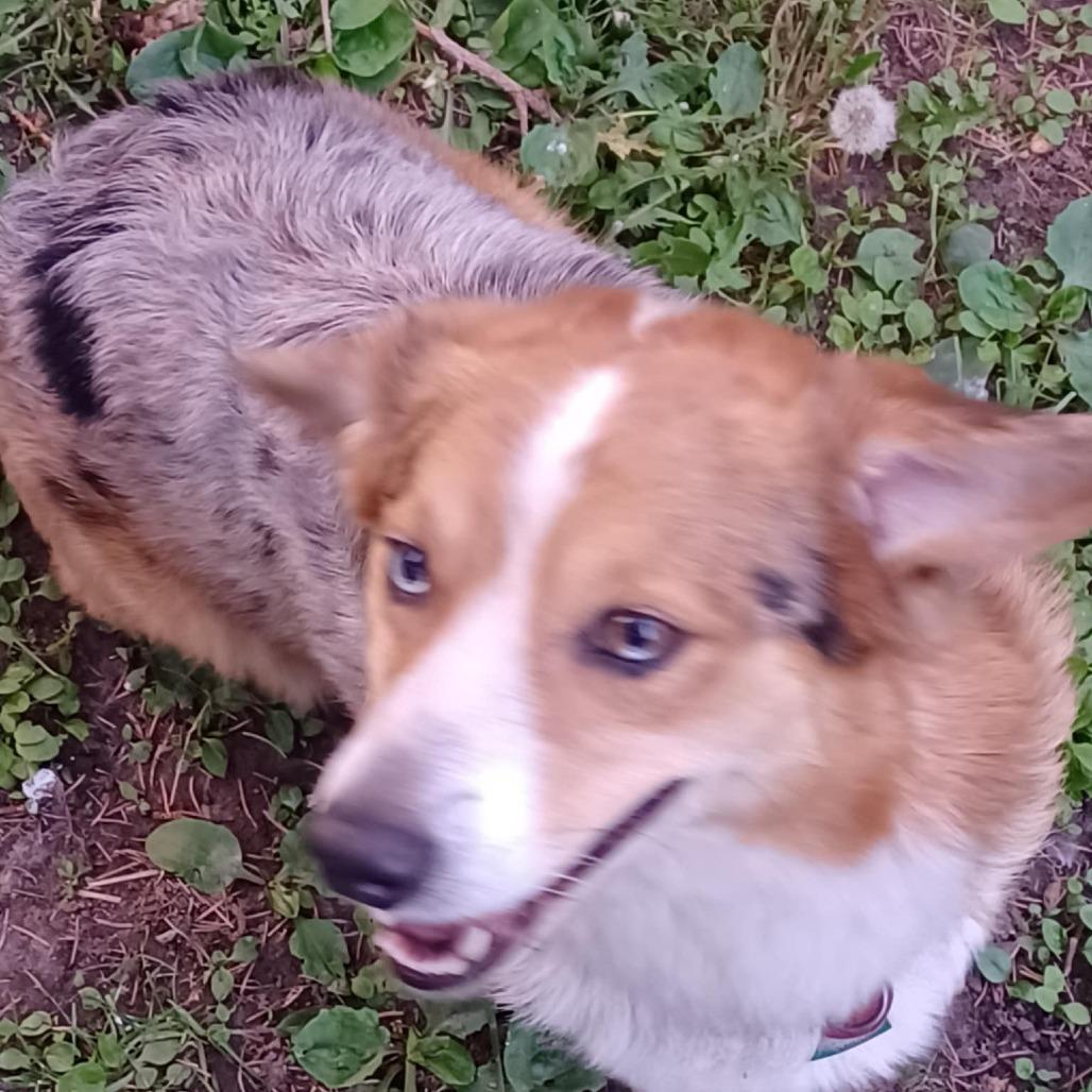 Jack