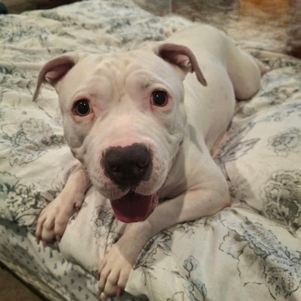 Rosie