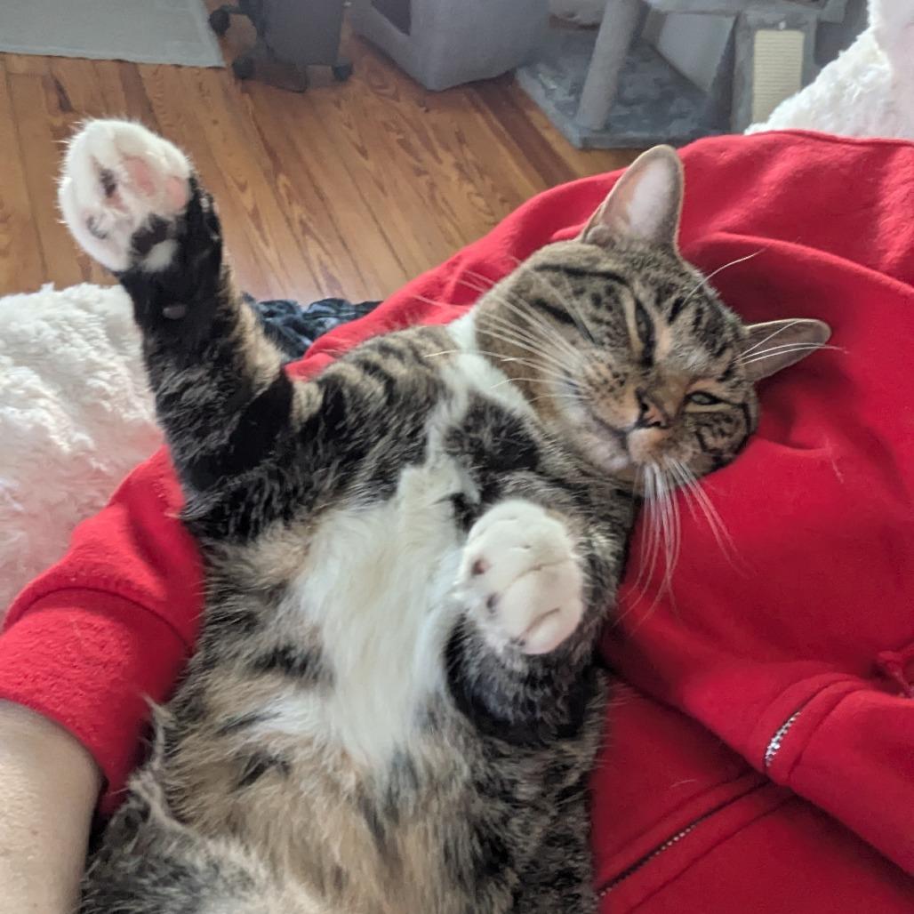 Cinna-in foster