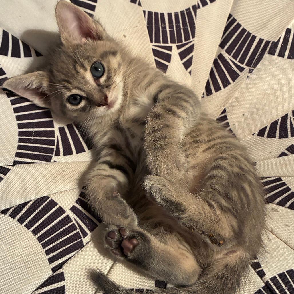 Kiké