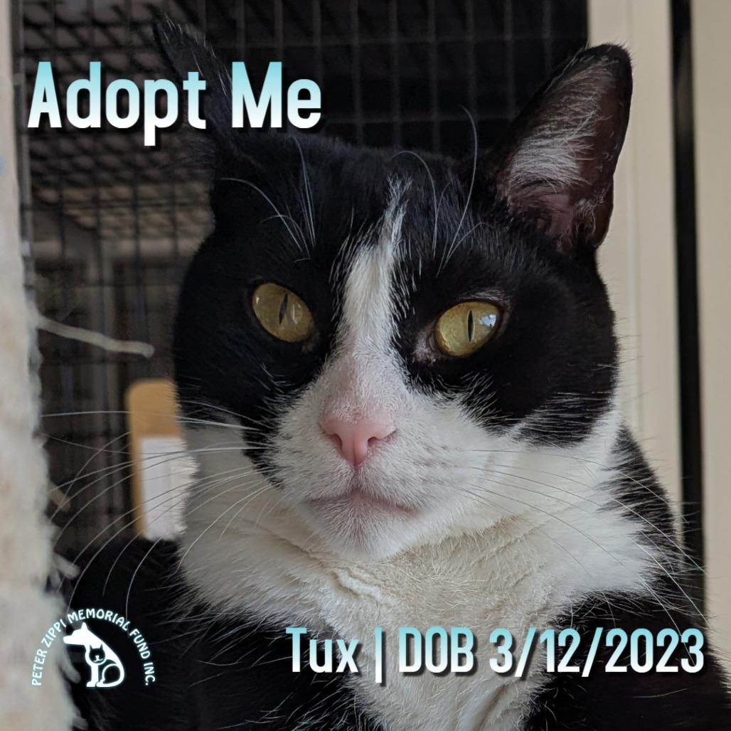 Tux X003