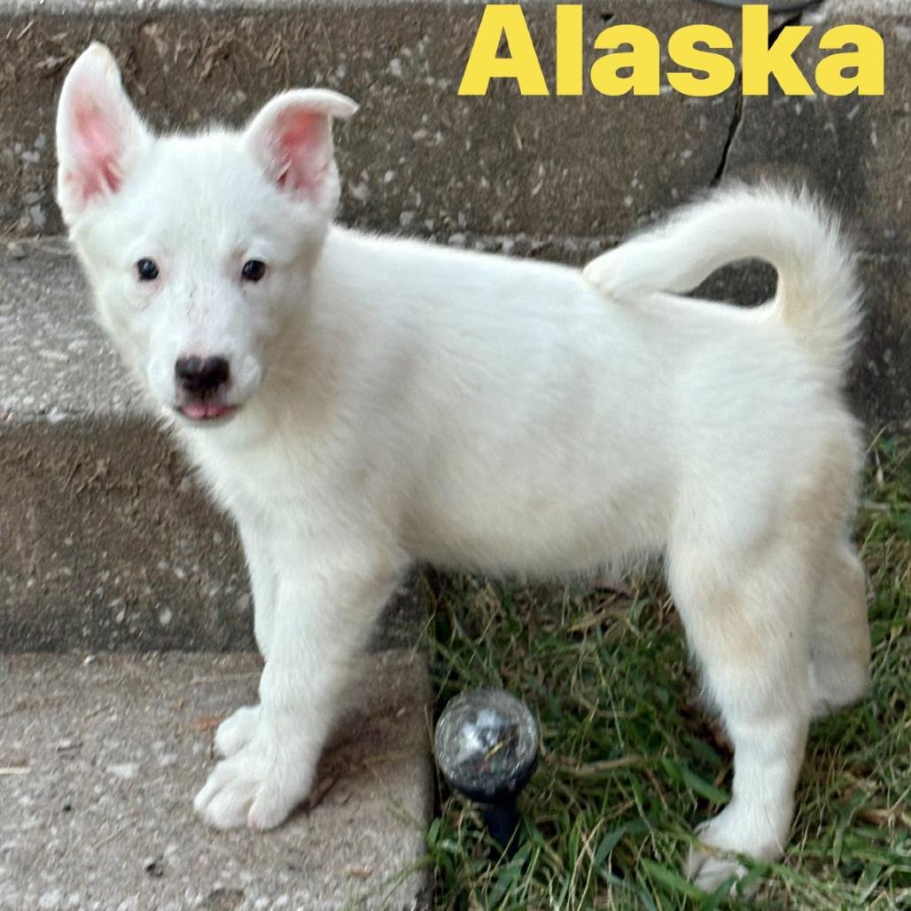 Alaska