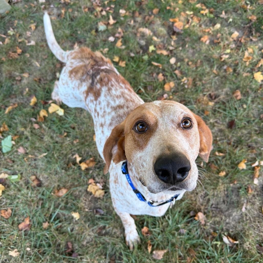 Oscar