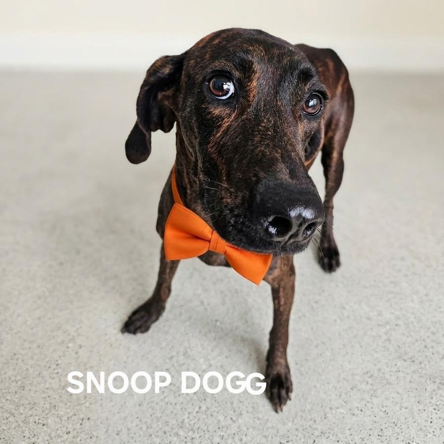 Snoop Dogg