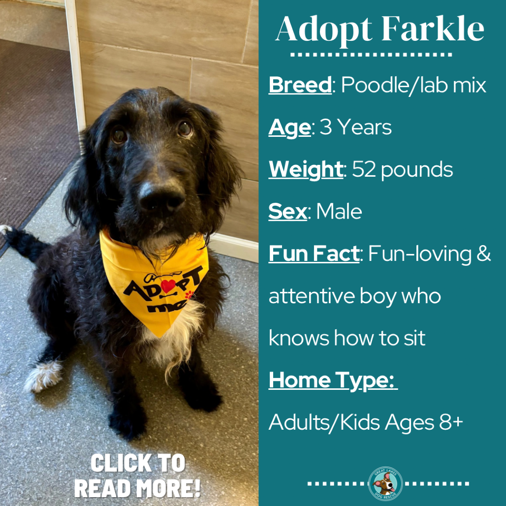Farkle