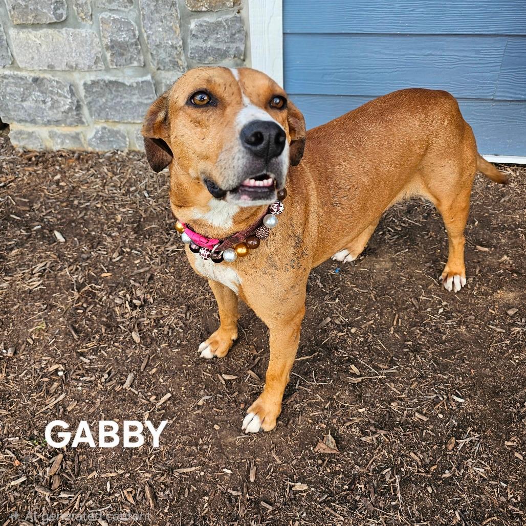 Gabby (Baby Girl) 