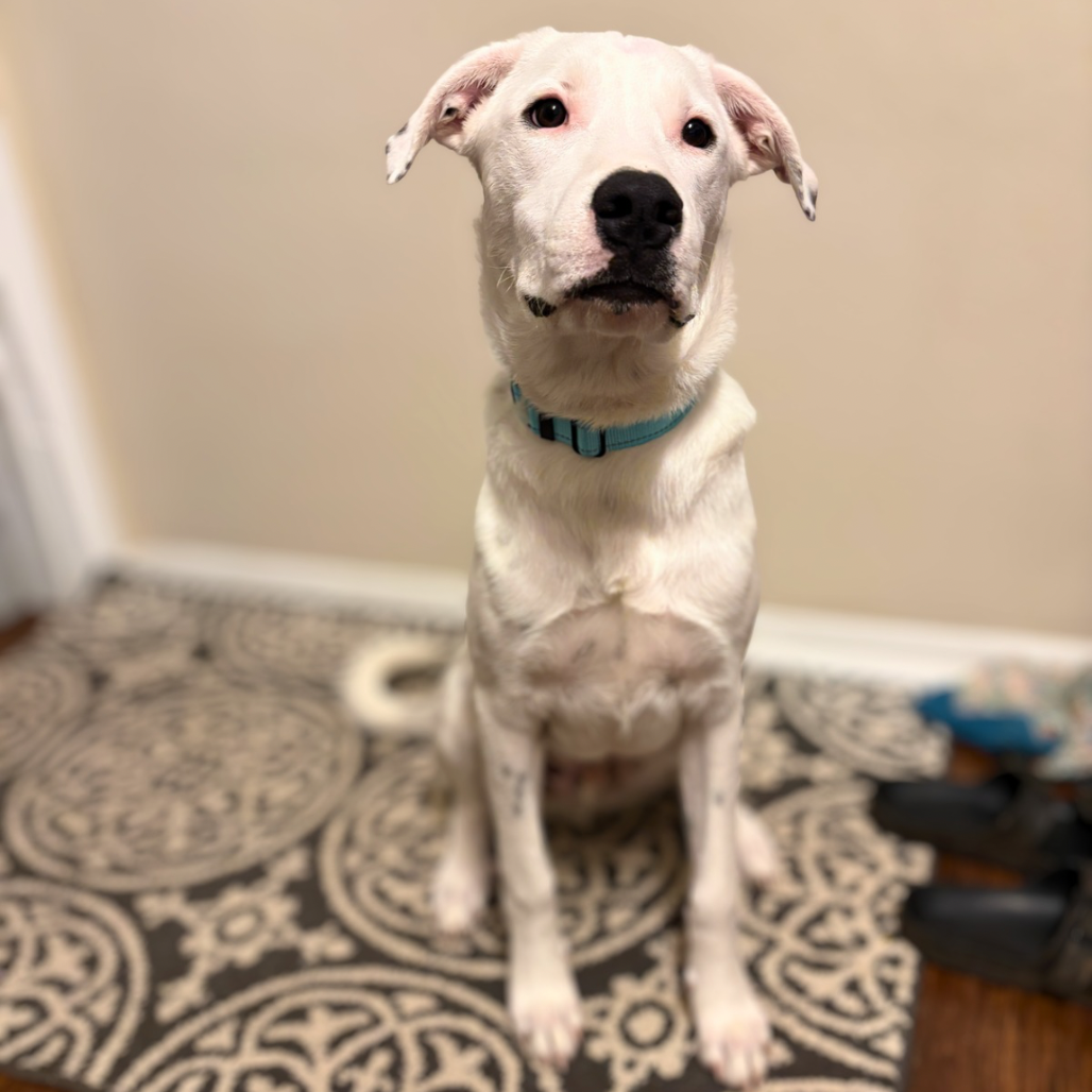 Max