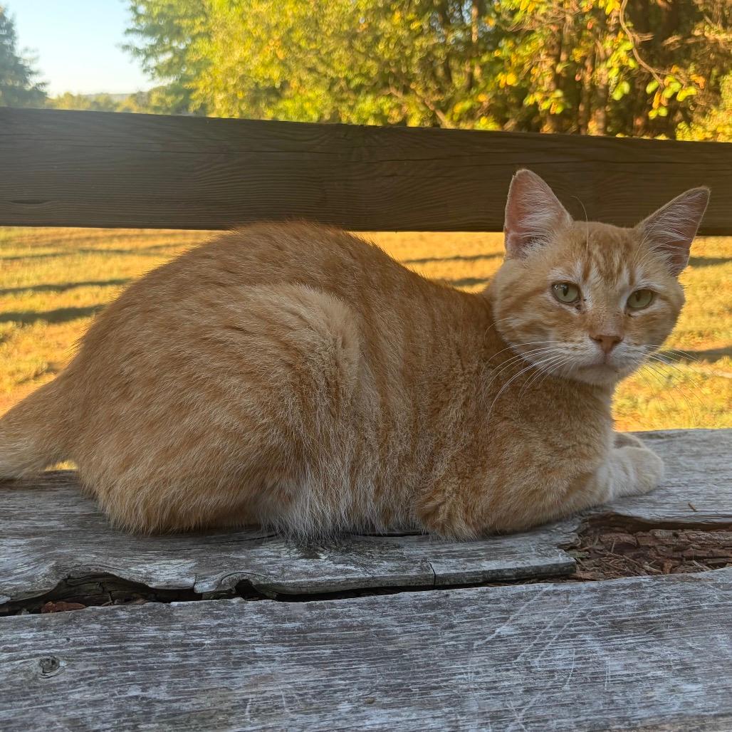Rusty