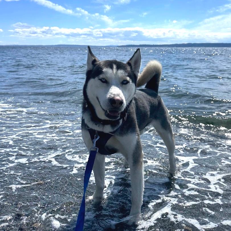 Ocean
