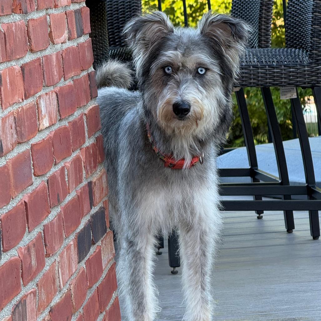 Nellie