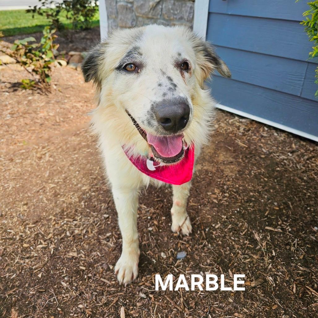Marble