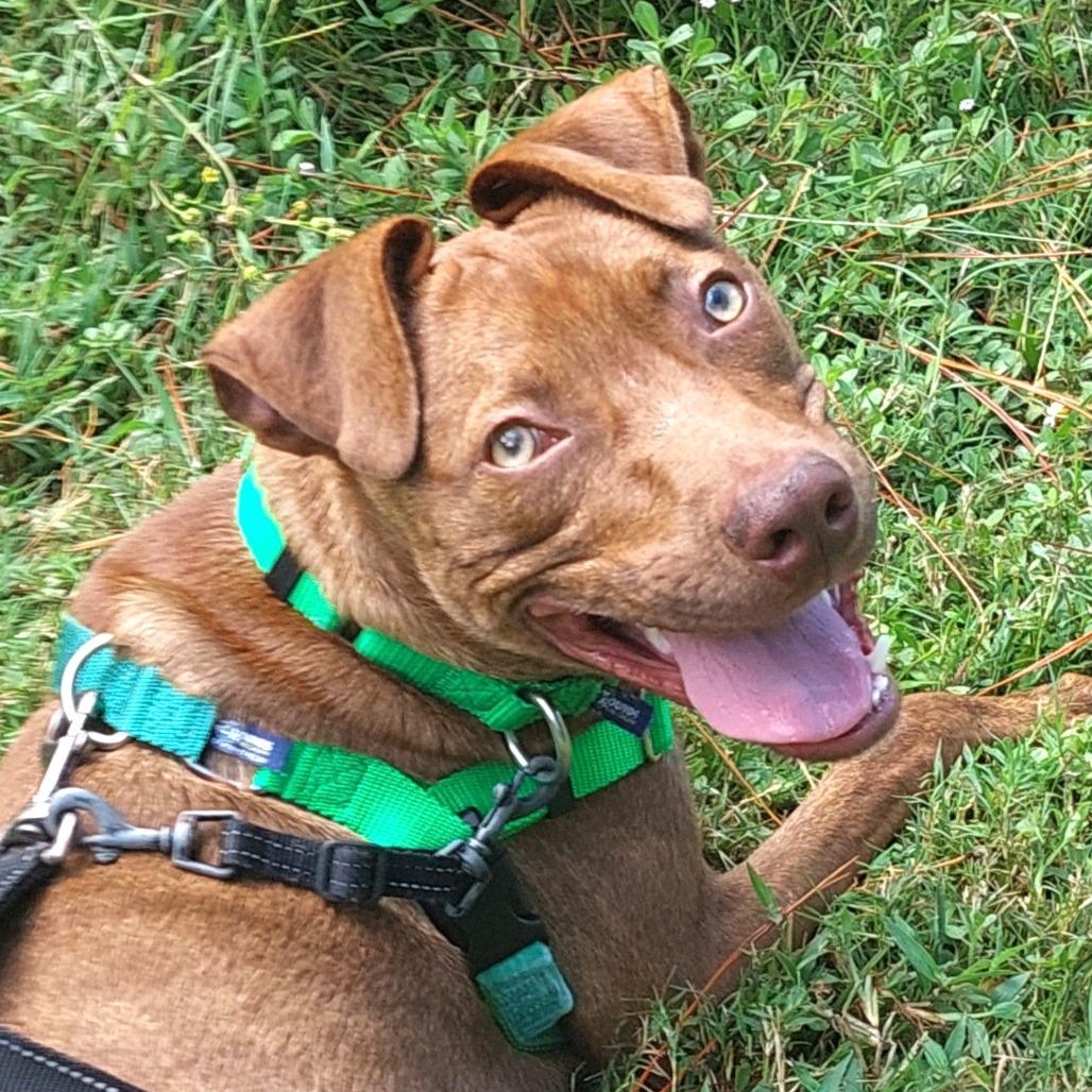 Buster