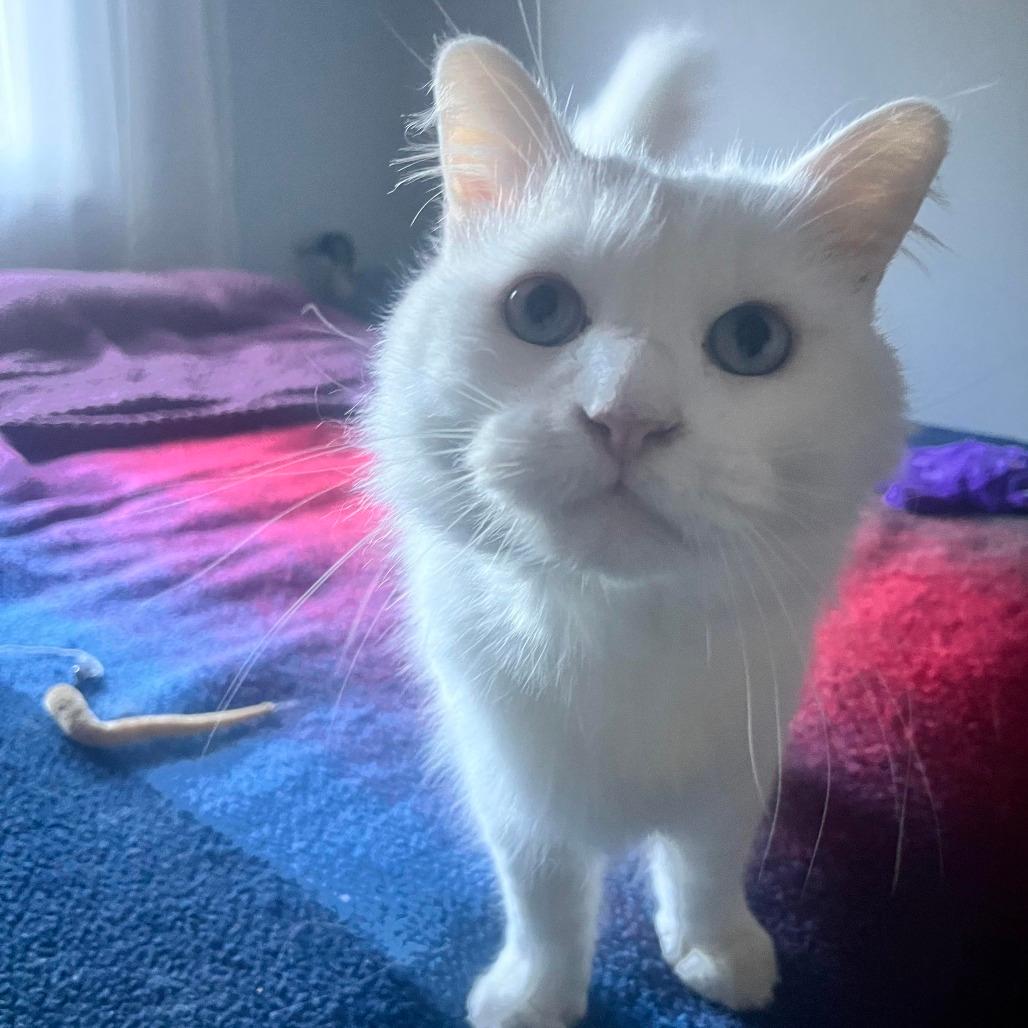 Sebastian
