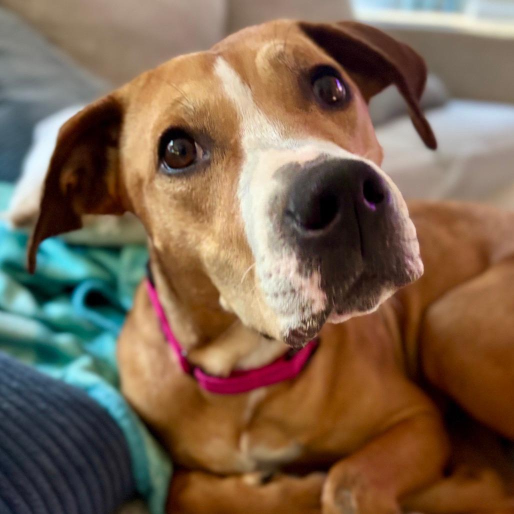 Ruby 