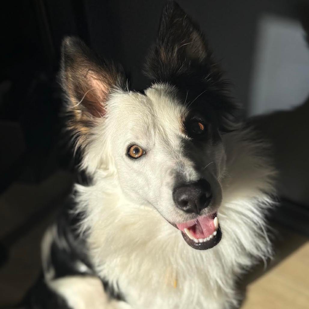 Finley