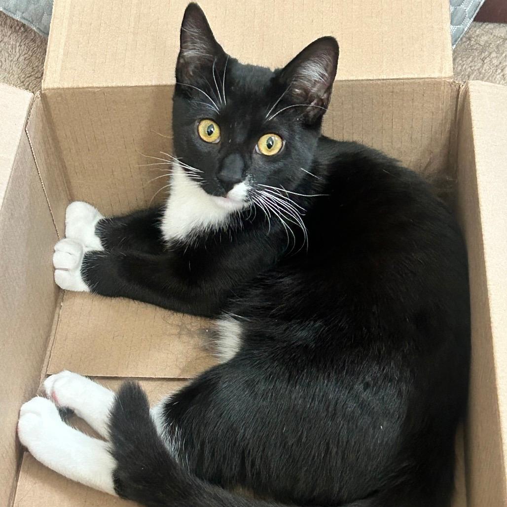 Pete