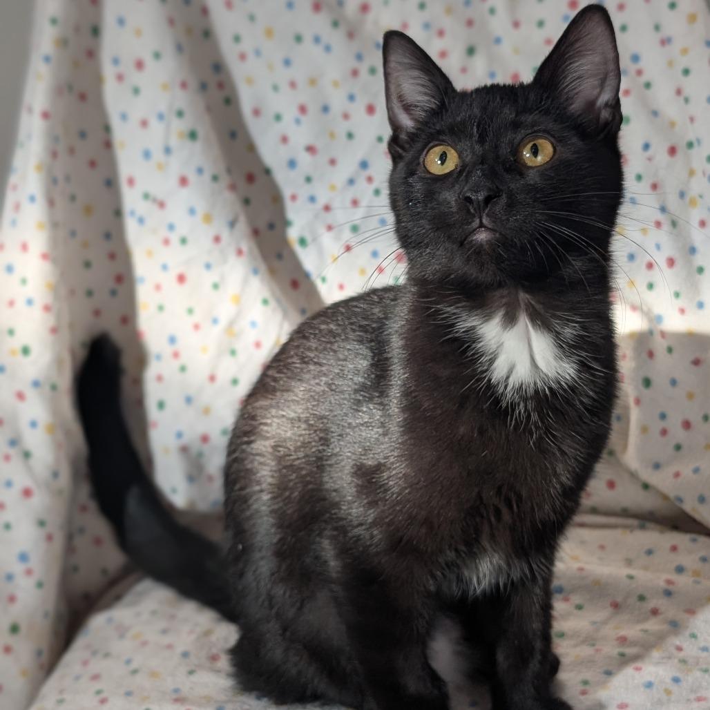 Marcia *Meet me at Chanhassen Chuck & Dons*