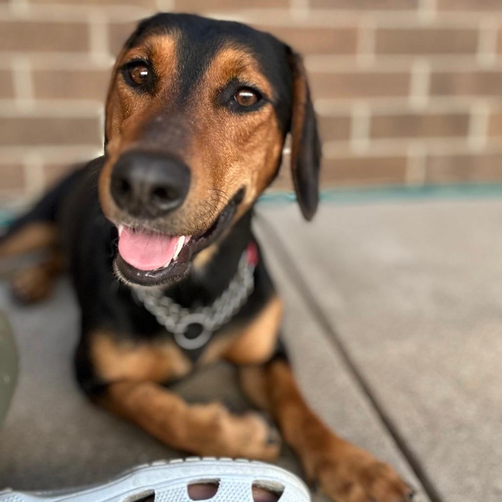 Oscar Meyer