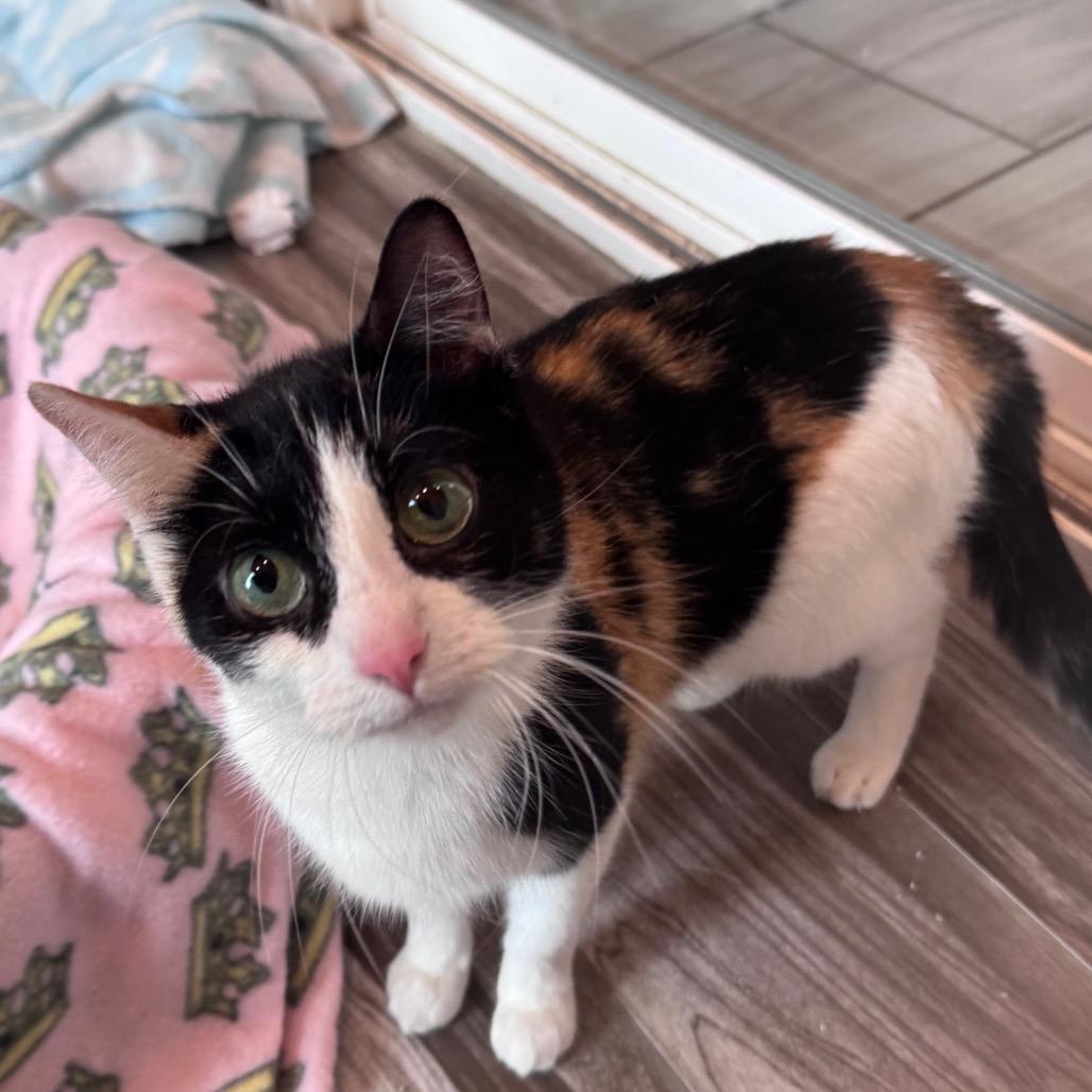 Moochi (bonded to Fern)