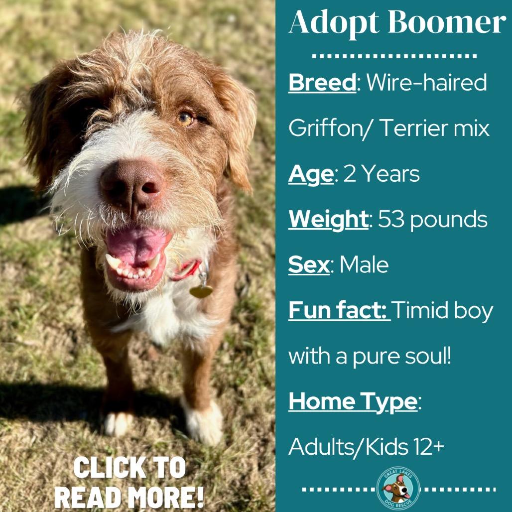 Boomer