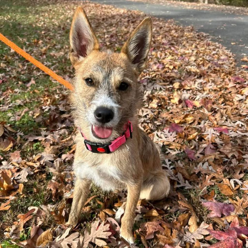 Zeke