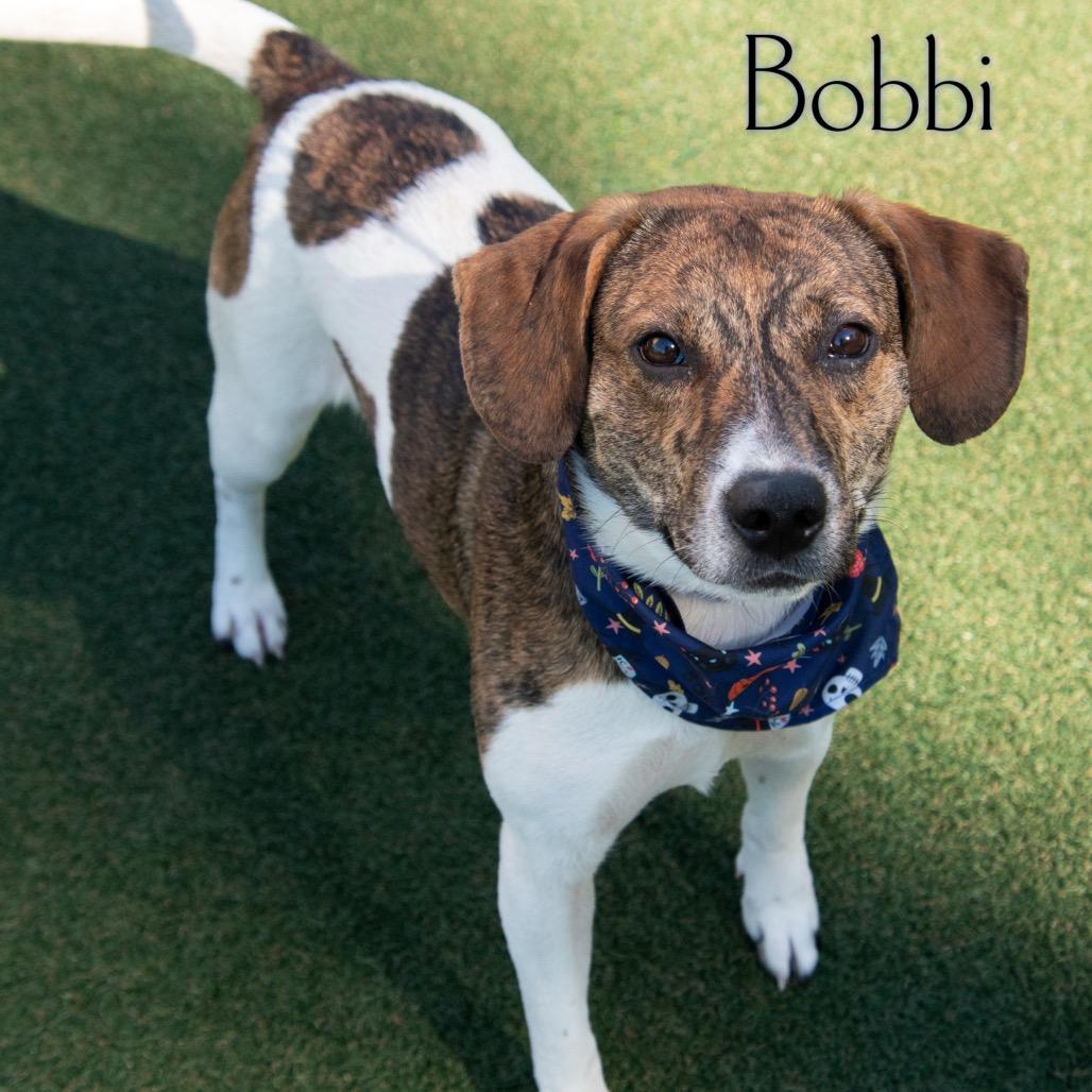 Bobbi