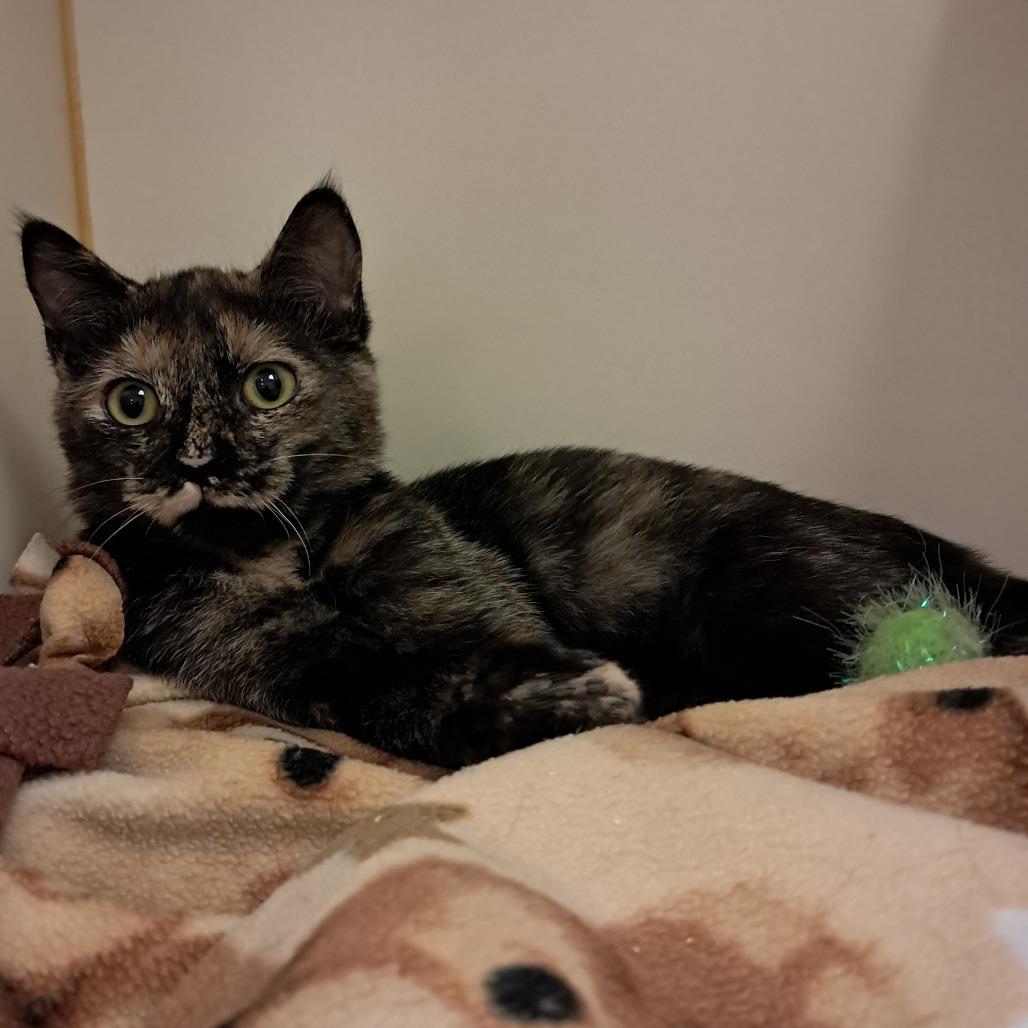 Tina