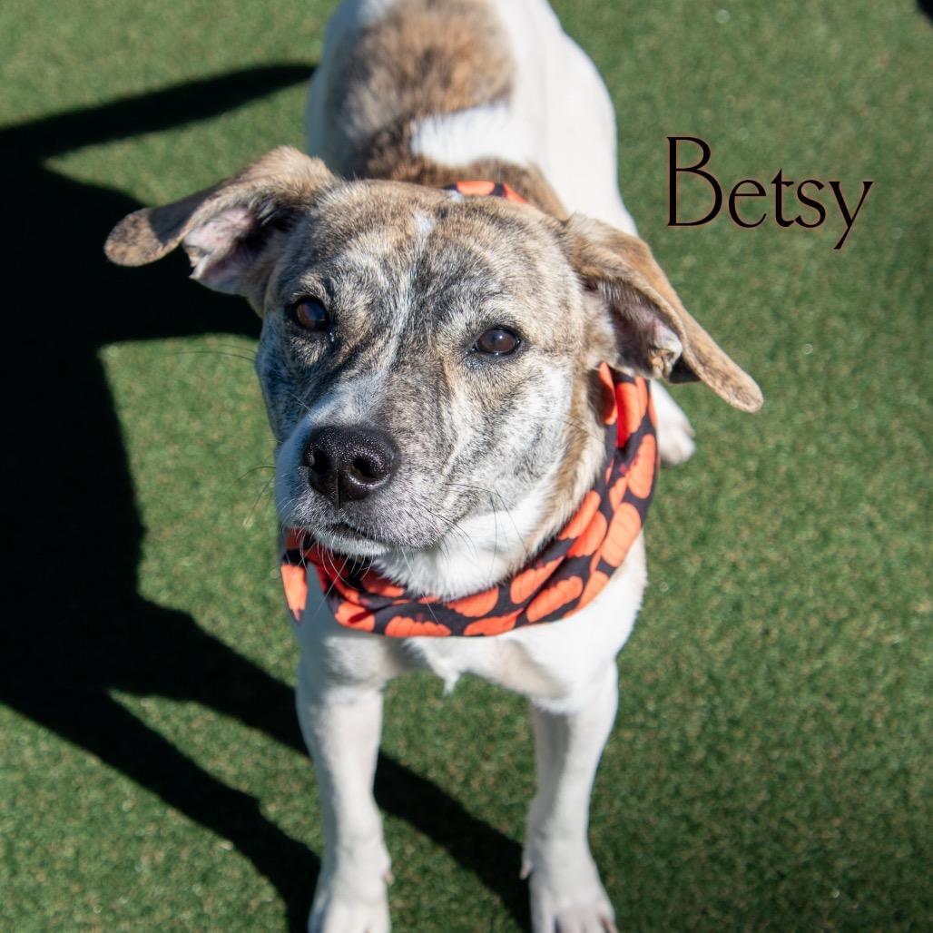 Betsy