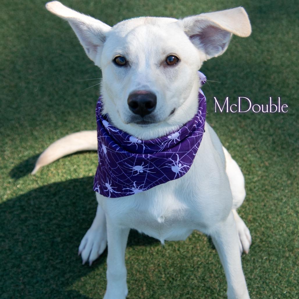 McDouble