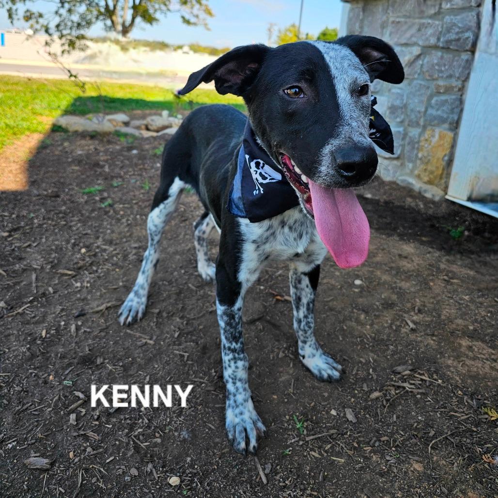 Kenny
