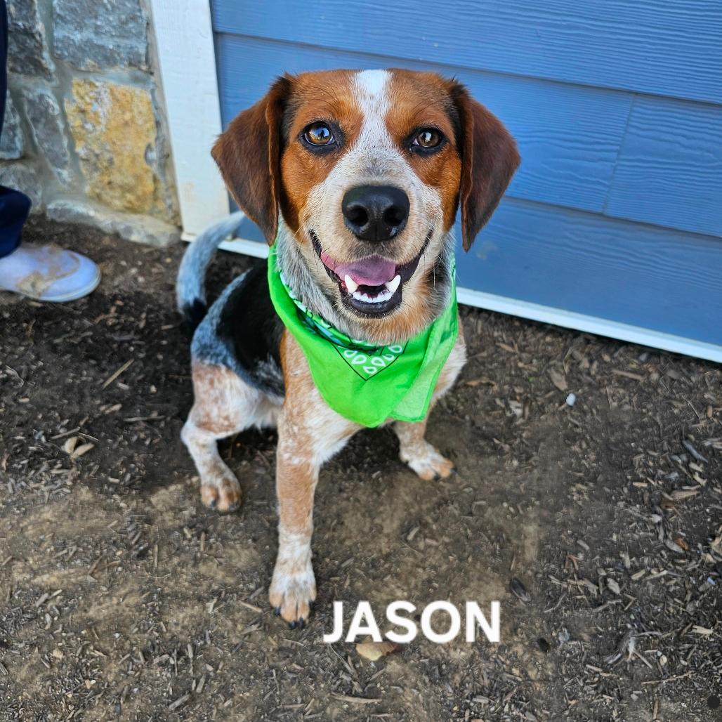 Jason